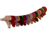 Vertebrae Thoracic 3D Model