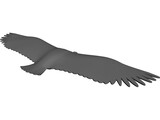 Vulture 3D Model preview