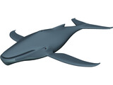Whale Funny 3D Model preview
