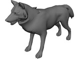 Wolf 3D Model preview