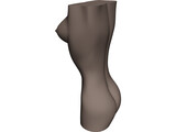 Women Body 3D Model preview