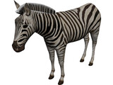 Zebra 3D Model preview