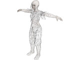 Zombie 3D Model