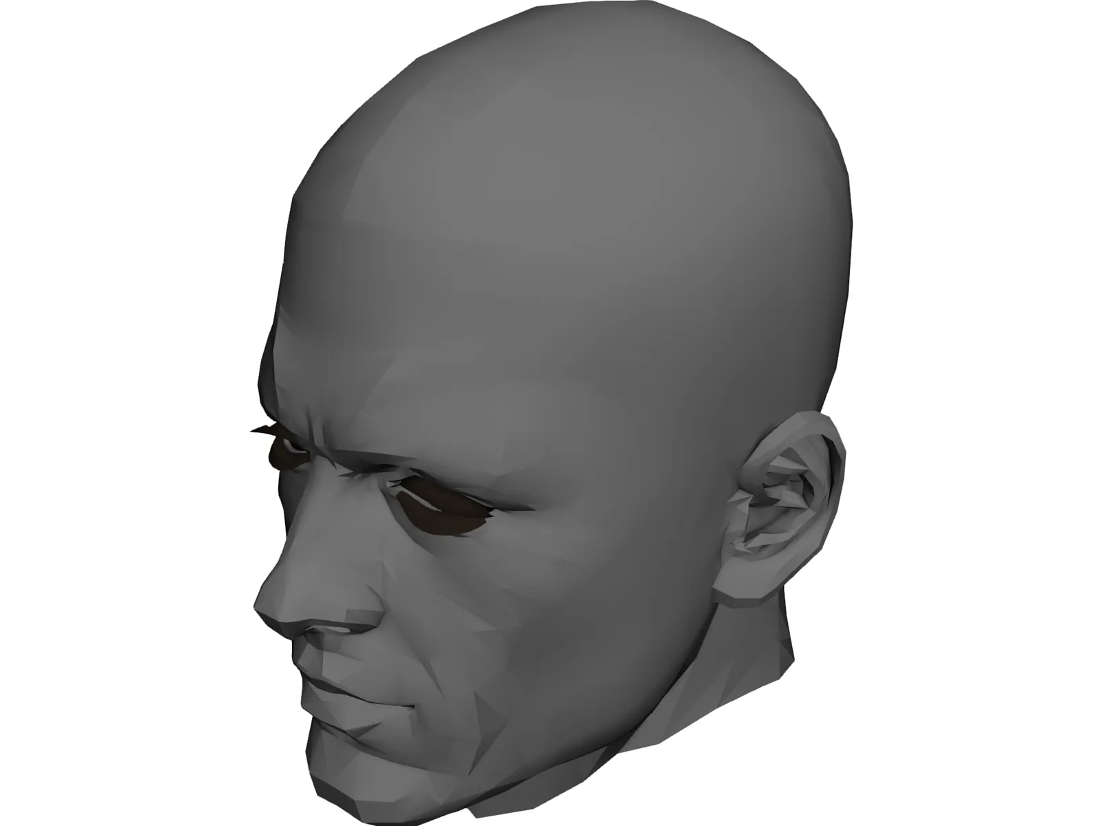 Male Adult Head 3D Model
