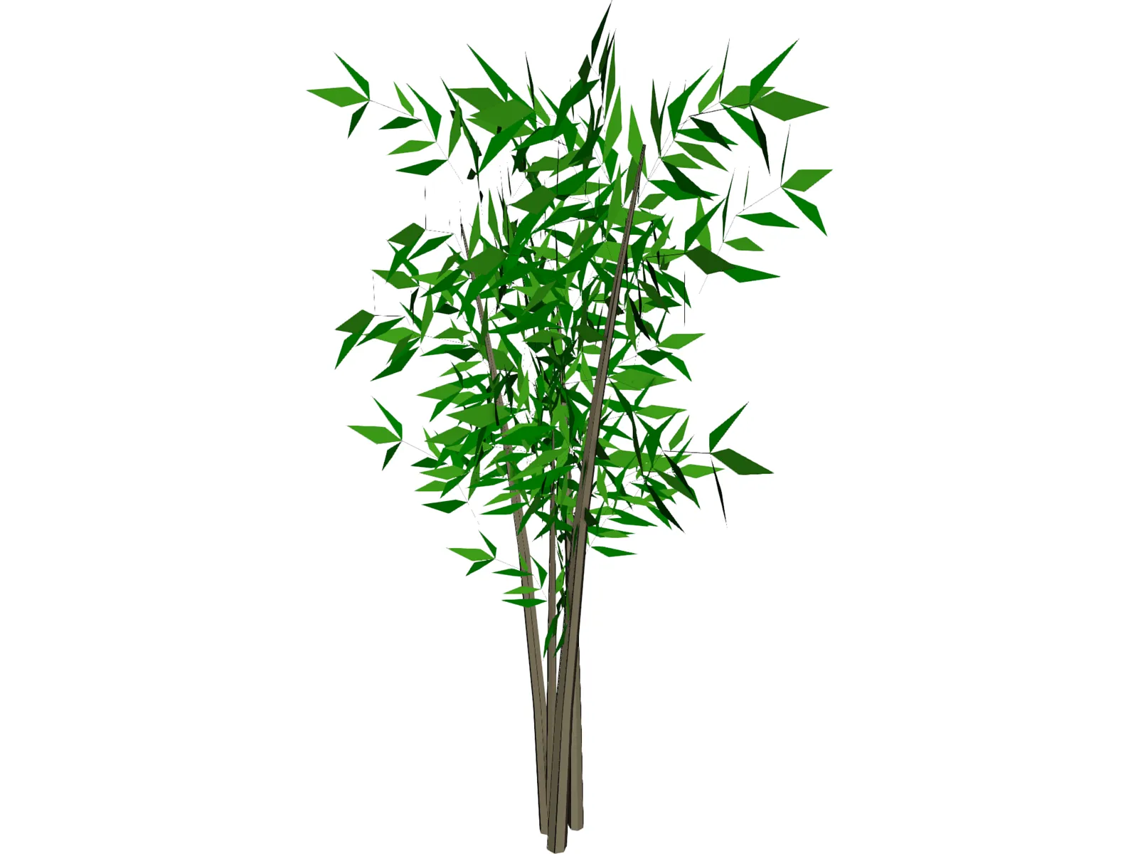 Bamboo Tree 3D Model