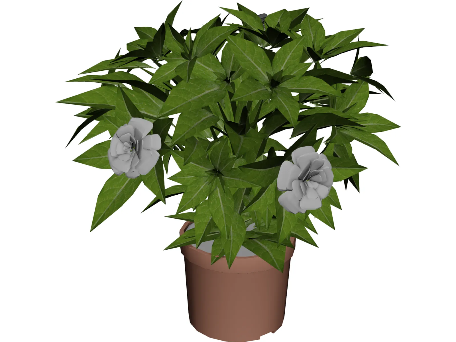 Potted Plant 3D Model