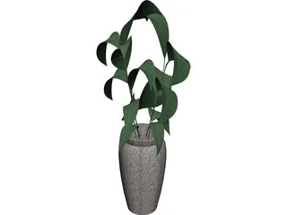 Ficus 3D Model