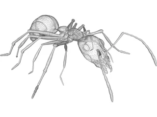Ant 3D Model