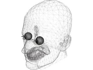 Male Adult Head 3D Model