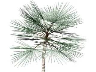 Palm 3D Model