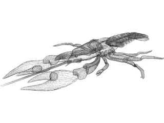 Lobster 3D Model