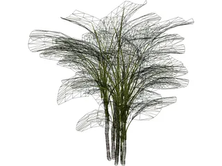 Bamboo Palm 3D Model