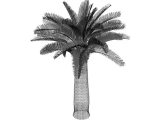 Jubaea Chilensis 3D Model