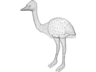 Ostrich 3D Model