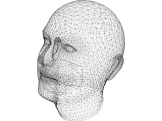Human Head 3D Model