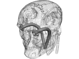 T800 Head 3D Model