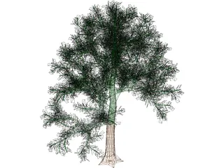 Tree 3D Model