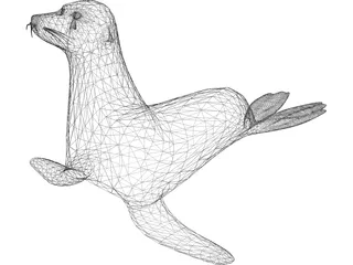 Sealion 3D Model