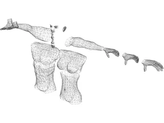 Modular Body Parts 3D Model