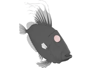 San Peters Fish 3D Model