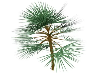 Palm 3D Model