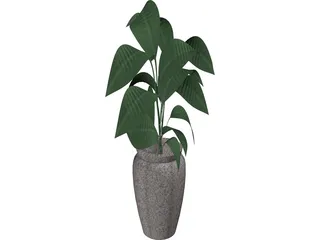 Ficus 3D Model
