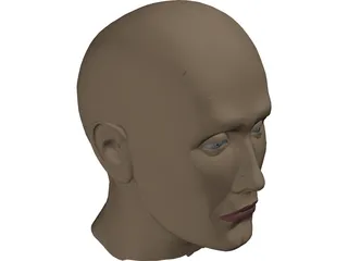 Head Male 3D Model