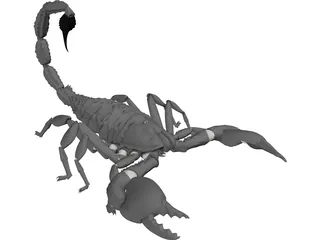 Scorpion (Arachnid Scorpionida) 3D Model