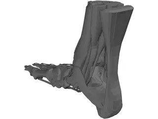 Human Leg 3D Model
