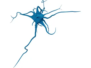 Neuron 3D Model