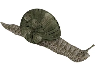 Snail 3D Model