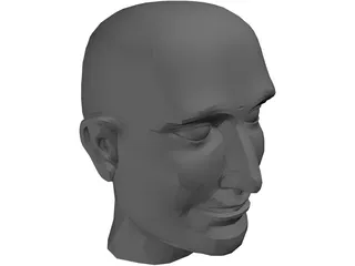 Head Male 3D Model