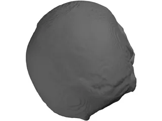 Skull 3D Model
