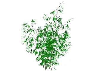 Bamboo 3D Model