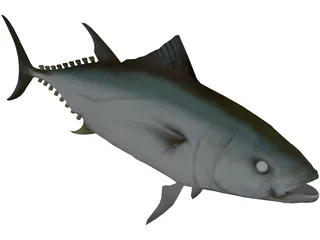Tuna 3D Model