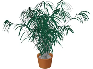 Indoor Plant 3D Model