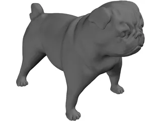 Bulldog 3D Model