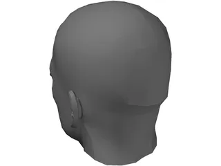 Male Adult Head 3D Model