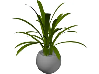 Plant in Pot 3D Model