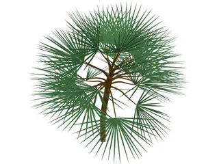 Palm 3D Model