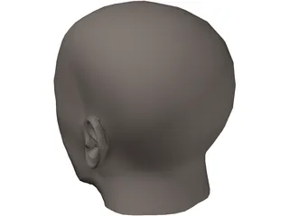 Head Human 3D Model