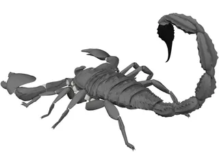 Scorpion (Arachnid Scorpionida) 3D Model