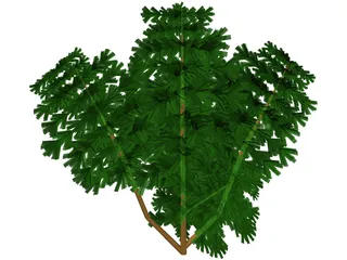 Juniper Bush 3D Model