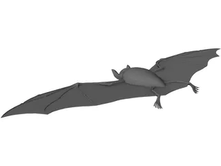 Vampire Bat 3D Model