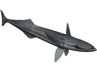 Remora 3D Model