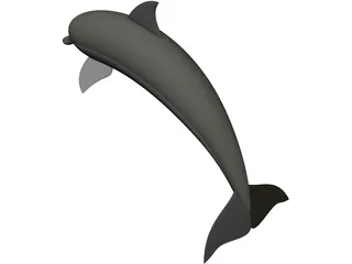 Dolphin 3D Model