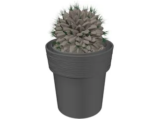 Potted Cactus Plant 3D Model