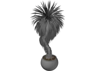 Bonsai Tree 3D Model