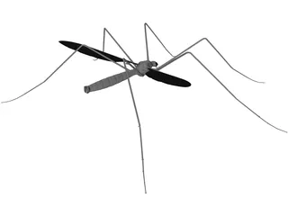 Mosquito 3D Model