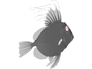 San Peters Fish 3D Model